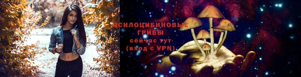 трава Баксан