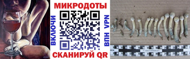Псилоцибиновые грибы мухоморы  Нижнеудинск 